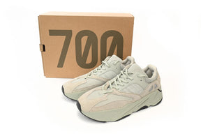 Adidas Yeezy Boost 700 Salt